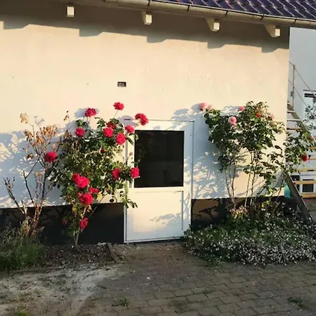 Charming Renovated House In Odder - Family-Friendly Retreat Tatil Evi