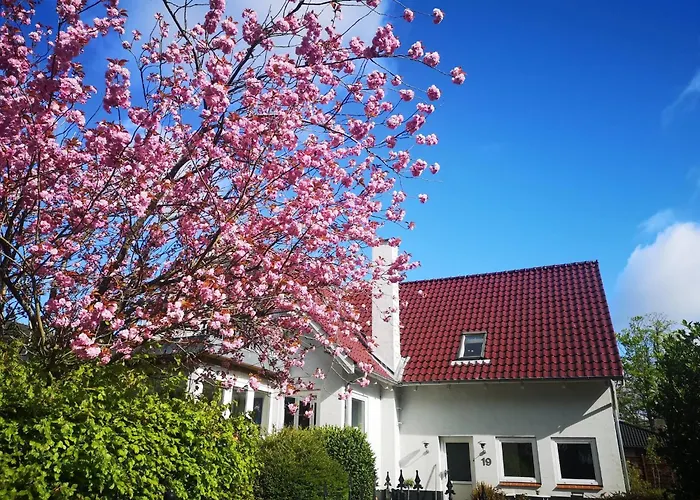 245 M2 Super Cosy * Odder