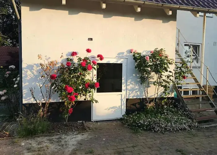 245 M2 Super Cosy Holiday home